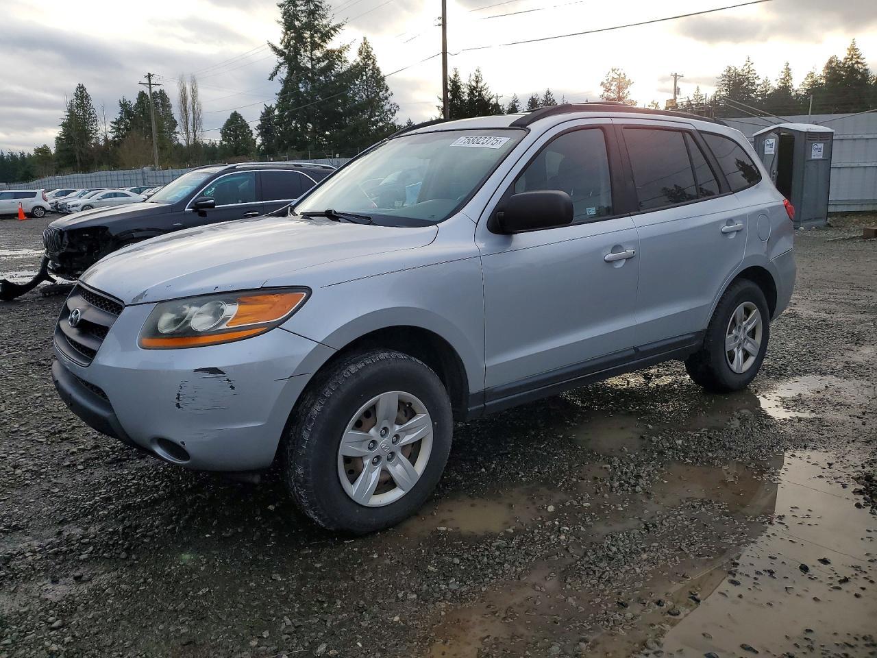 2009 Hyundai Santa fe gls