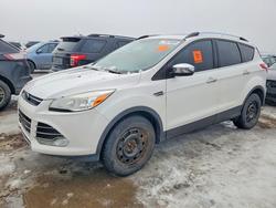 Salvage cars for sale from Copart London, ON: 2016 Ford Escape se