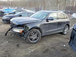 Audi salvage cars for sale: 2016 Audi Q5 Premium Plus S-line