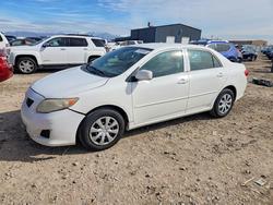 Toyota Corolla salvage cars for sale: 2009 Toyota Corolla le