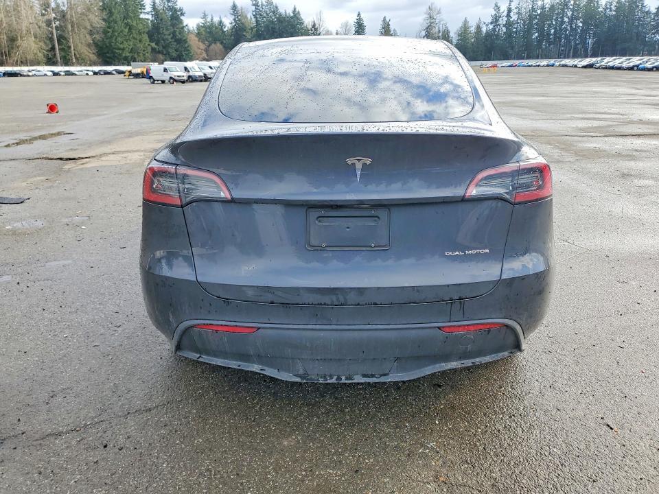 2025 Tesla Model y