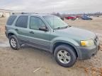 2005 Ford Escape xlt