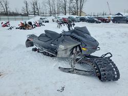 Skidoo salvage cars for sale: 2024 Skidoo MXZ X-RS 850 E-TEC