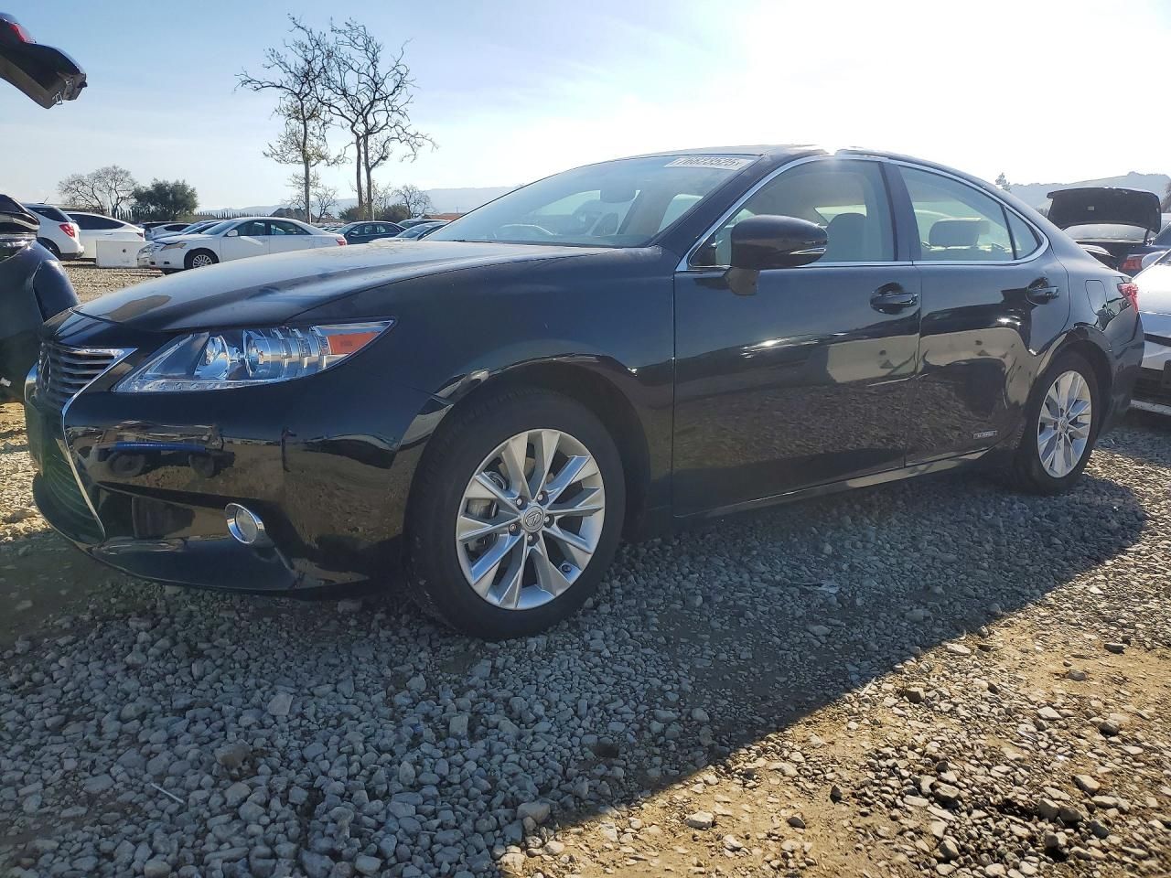 2013 Lexus Es 300h