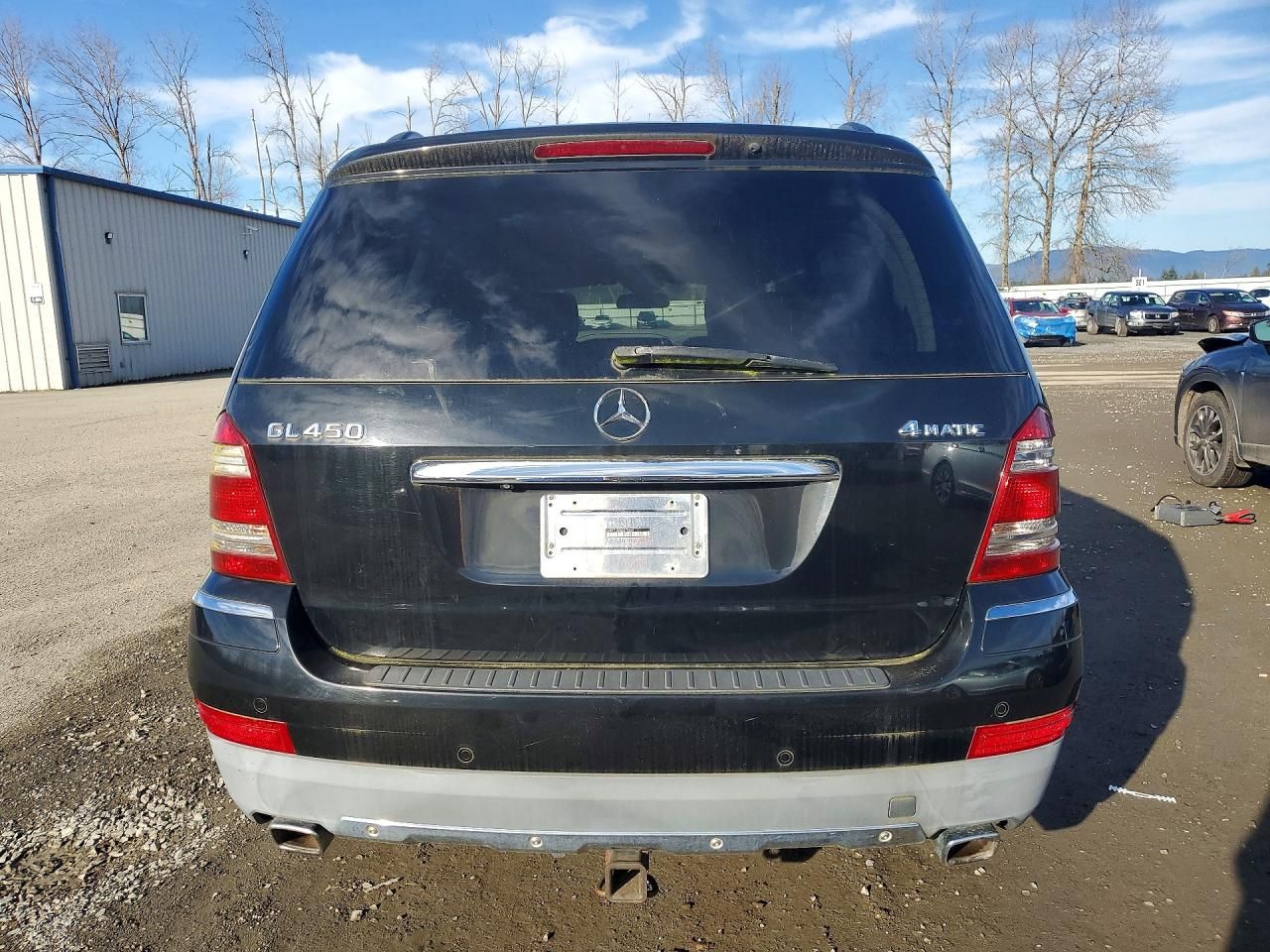 2008 Mercedes-Benz Gl 450 4matic