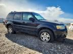 2005 Ford Escape Limited
