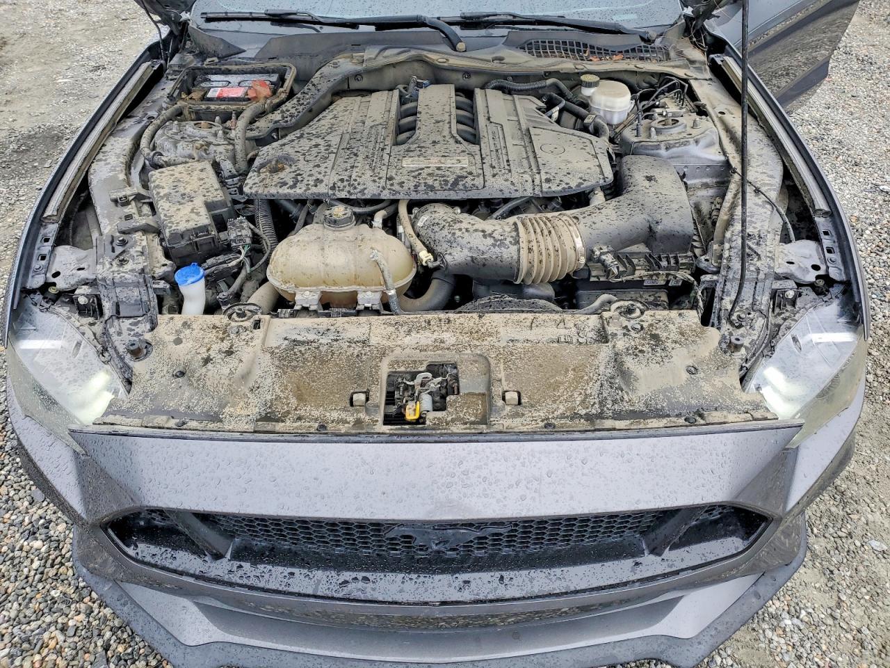 2021 Ford Mustang gt