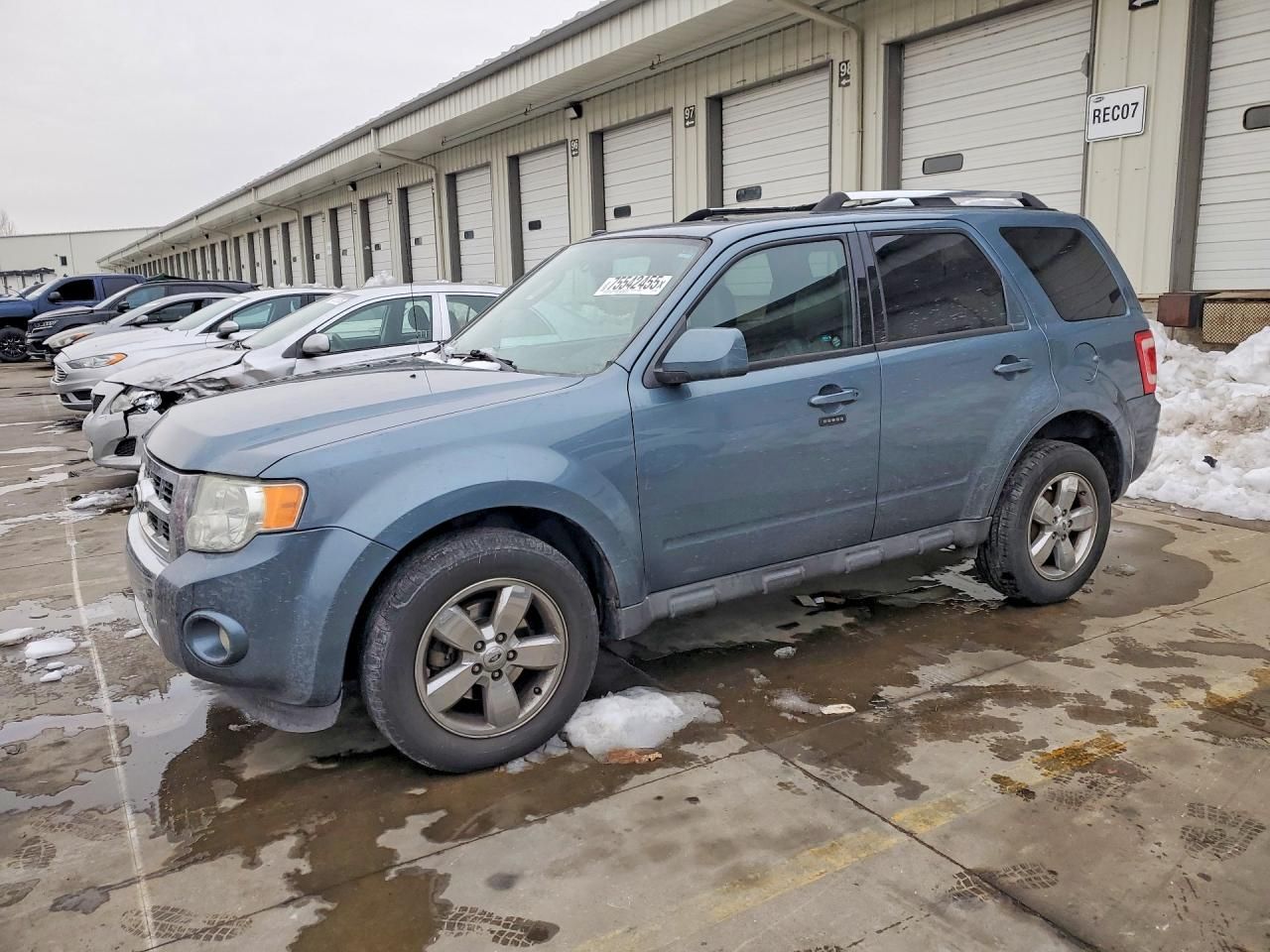 2010 Ford Escape Limited