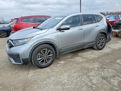 2022 Honda Cr-v exl for sale in Indianapolis, IN