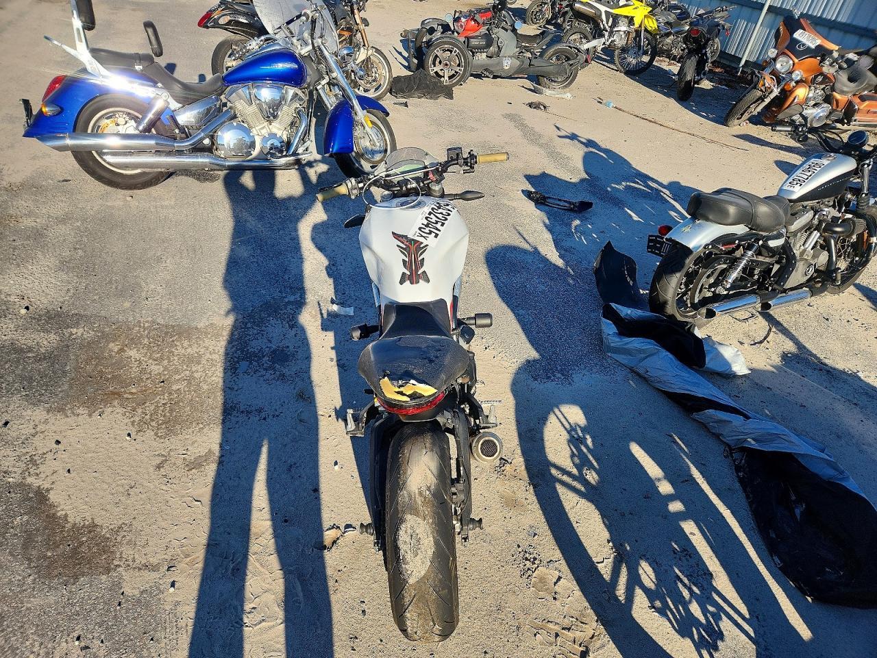 2020 Ducati Monster 797+