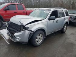 2010 Ford Escape xlt en venta en Glassboro, NJ