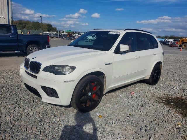 2010 BMW X5 m