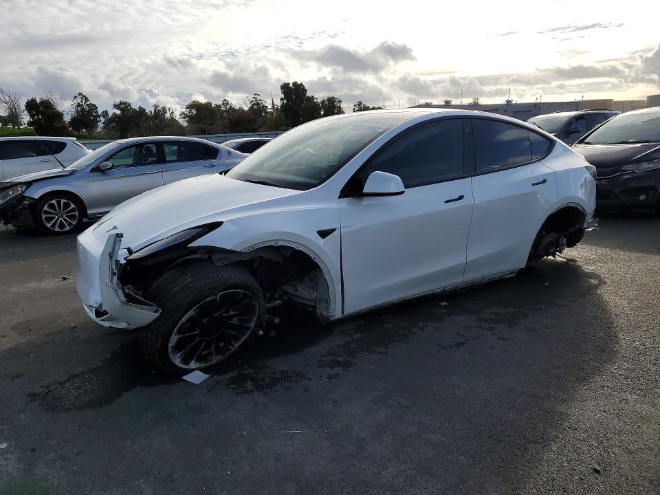 2021 Tesla Model y