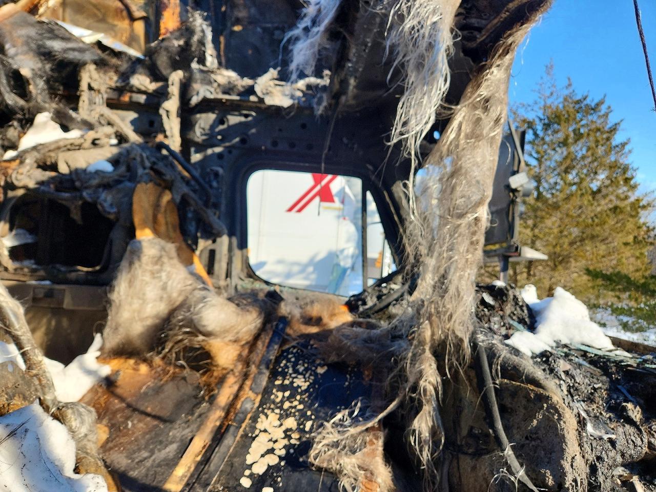 2009 Freigliner 2009 Freightliner Cascadia 1