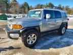 2010 Toyota Fj Cruiser