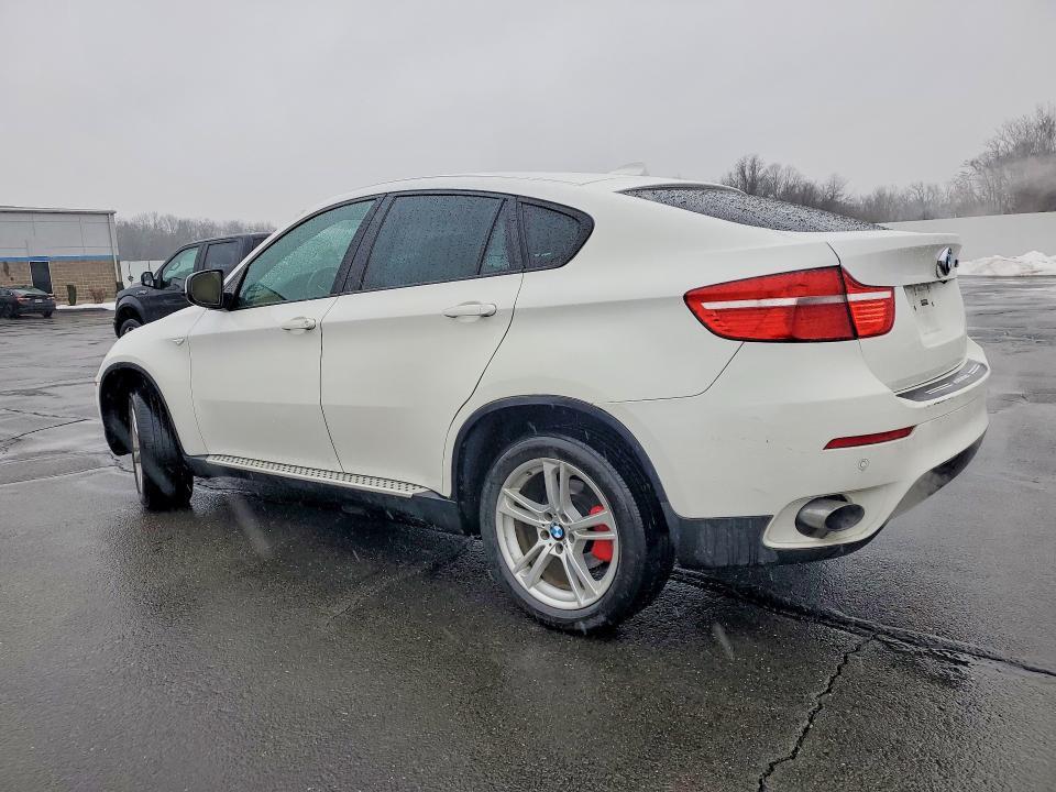 2009 BMW X6 Xdrive35i