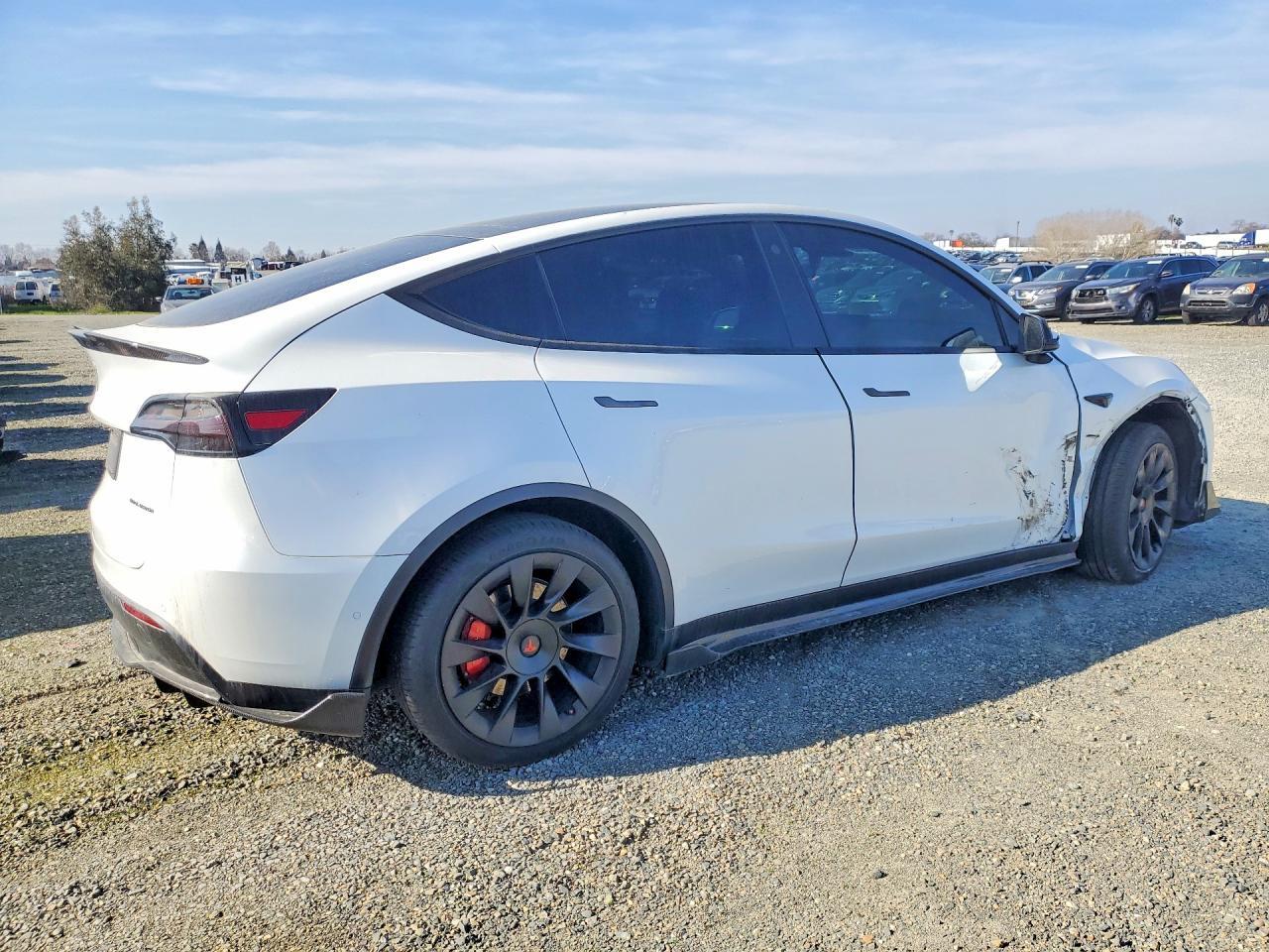 2021 Tesla Model y
