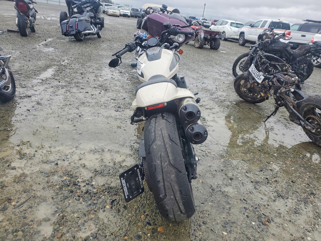 2023 Harley-Davidson RH1250 S