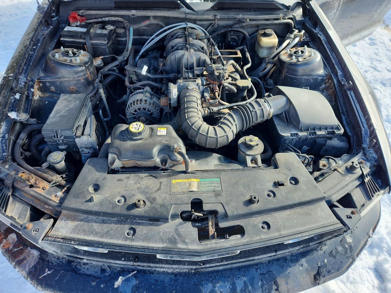 2007 Ford Mustang