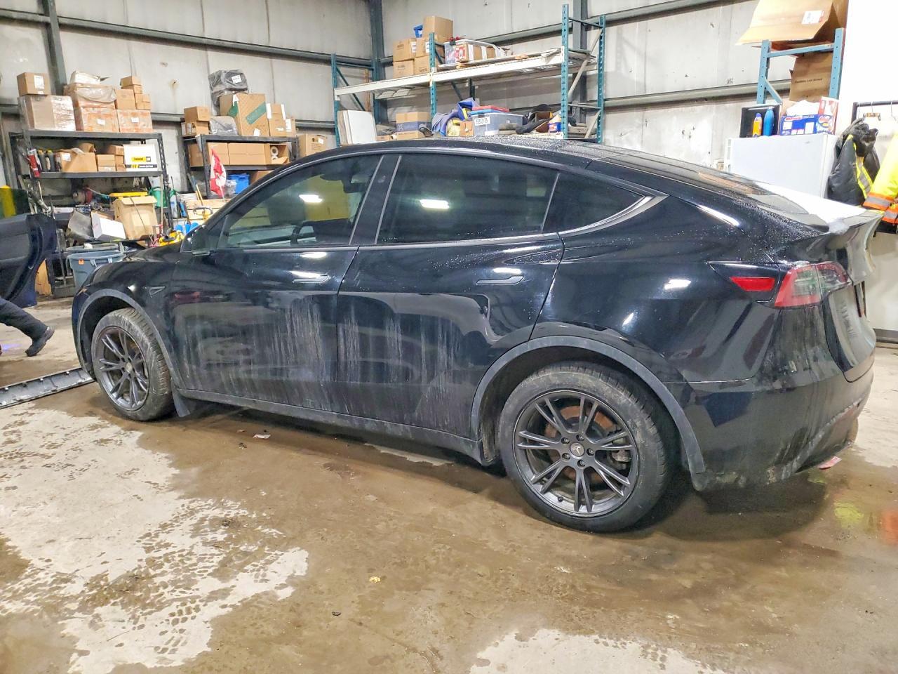 2024 Tesla Model y