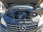 2013 Mercedes-Benz Ml 350