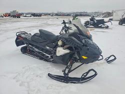 Salvage motorcycles for sale at Elgin, IL auction: 2023 Skidoo 2023 Skidoo Renegade