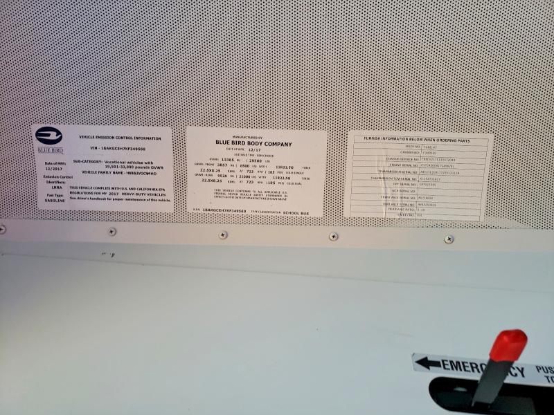 2019 Blue Bird School Bus / Transit Bus