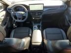 2024 Ford Escape st Line