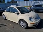 2008 Volkswagen New Beetle s