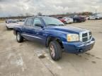 2006 Dodge Dakota Quad slt