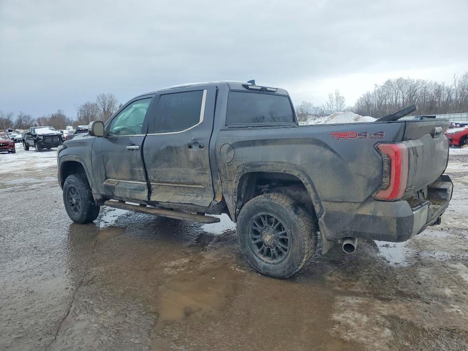 2025 Toyota Tundra 1794 Edition HV