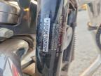 2005 Harley-Davidson XL883