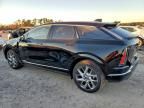 2025 Cadillac Optiq Luxury