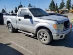 2010 Ford F150
