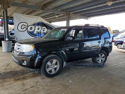 2009 Honda Pilot exl en venta en Hayward, CA