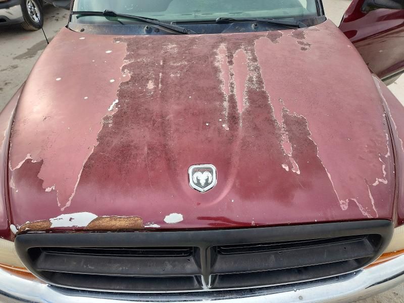 2000 Dodge Dakota Quattro