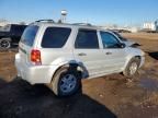 2007 Ford Escape xlt
