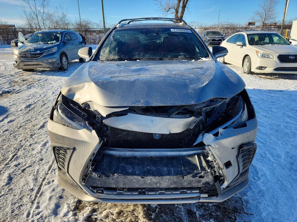 2024 Lexus Nx 350 Luxury