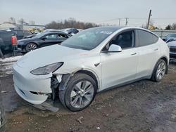 Tesla Model y salvage cars for sale: 2023 Tesla Model y