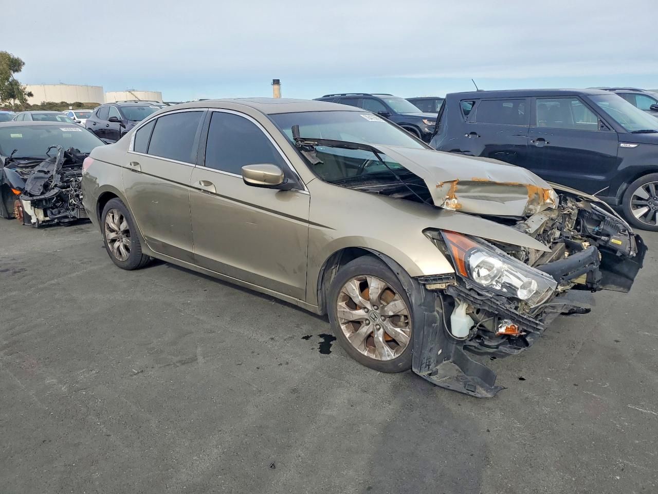 2009 Honda Accord exl