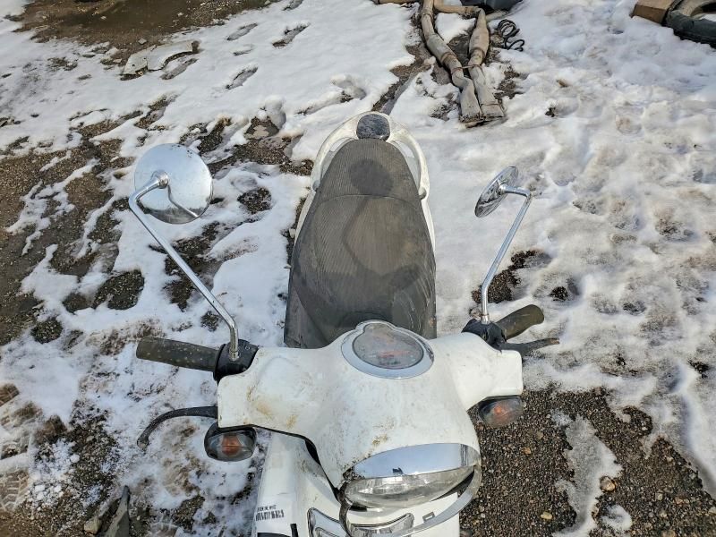 2024 Genuine Scooter Co. Buddy 50