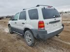 2004 Ford Escape xlt