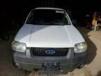 2006 Ford Escape xlt