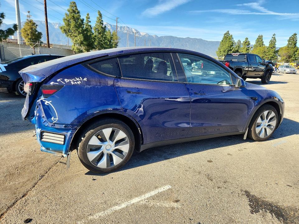 2024 Tesla Model y