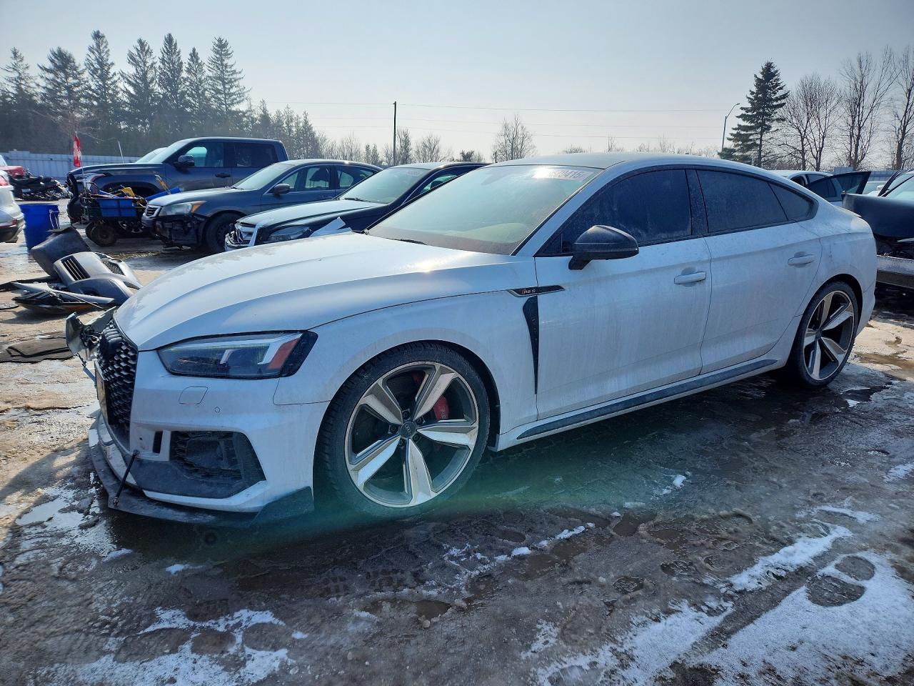 2019 Audi RS5