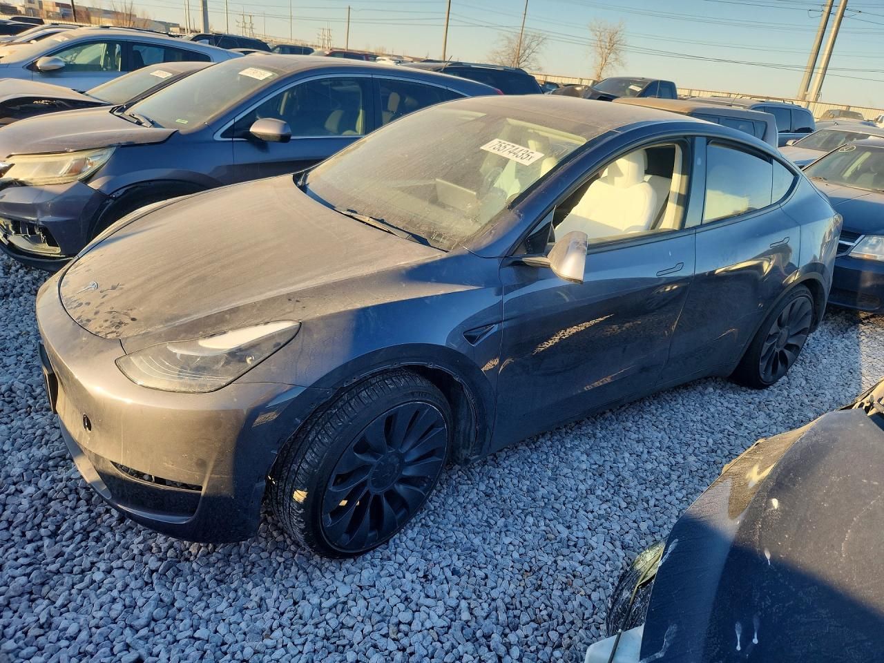 2023 Tesla Model y