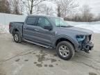 2025 Ford F150 xlt