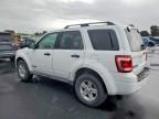 2008 Ford Escape hev
