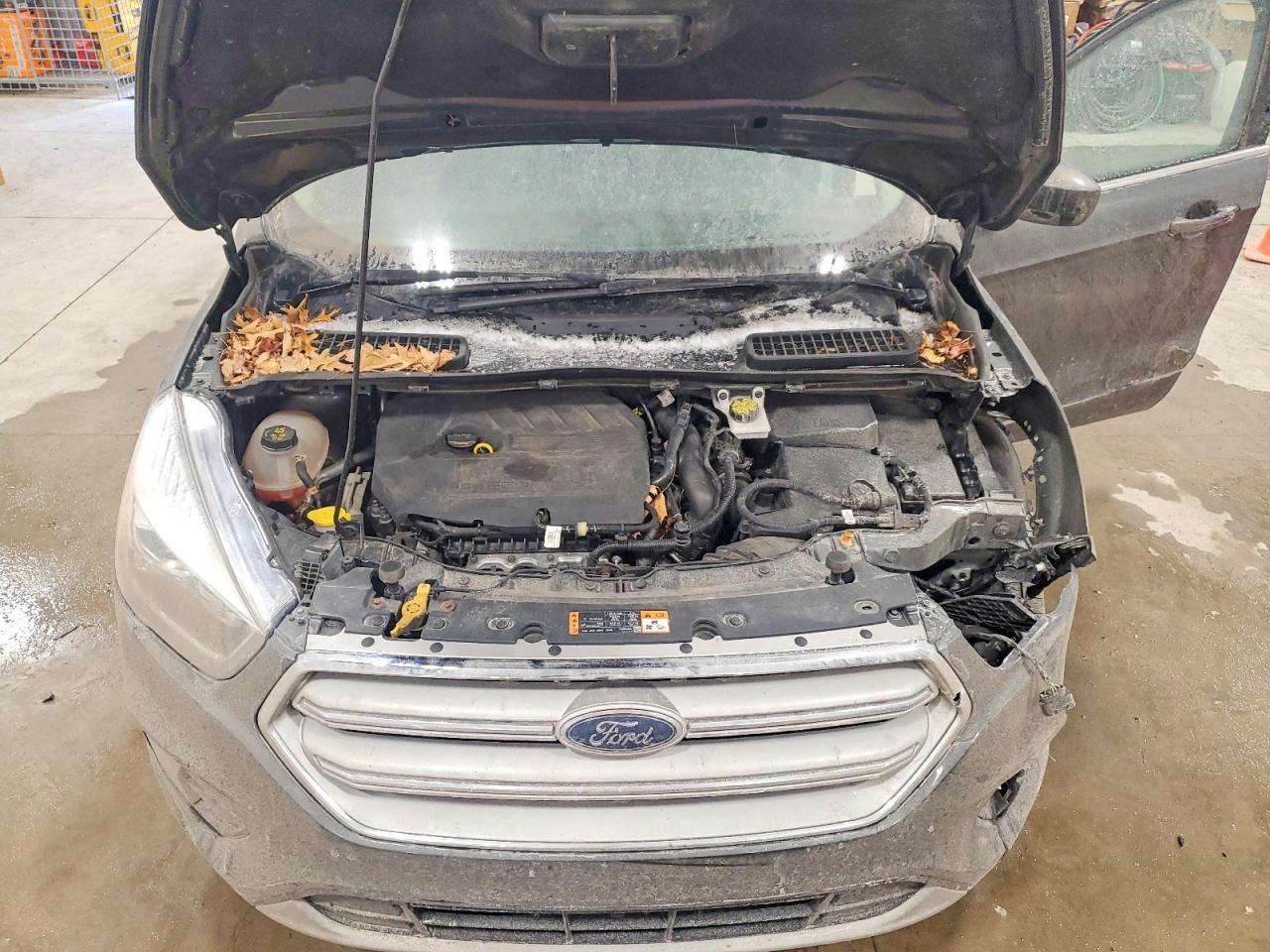 2018 Ford Escape sel