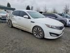 2013 KIA Optima sx